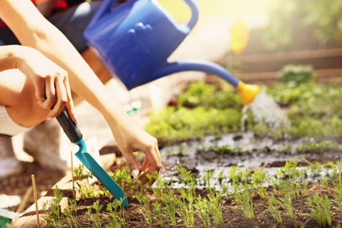 Gardener with tools inspecting a residential garden in Dalston