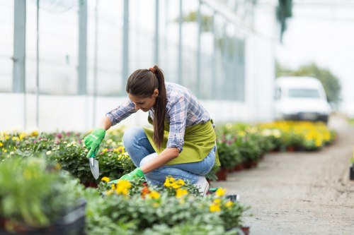 A young woman wearing a plaid shirt, blue jeans, and green gardening gloves is kneeling on a garden path, carefully tending to a flower bed filled with vibrant yellow blossoms and green foliage. The garden is well-organized with neat flower borders, and the background shows a greenhouse structure with glass panels, suggesting a professional or well-maintained outdoor space typical of commercial or residential gardening services in Dalston. The soil appears moist and healthy, and the overall scene is set outdoors on a bright, clear day, with natural light illuminating the plants and the gardener’s focused activity. The garden features a combination of lush flowers and clean, paved pathways, reflecting a tidy and cultivated environment that Garden Maintenance Dalston might service, supporting led landscaping and lawn care needs in the local area.